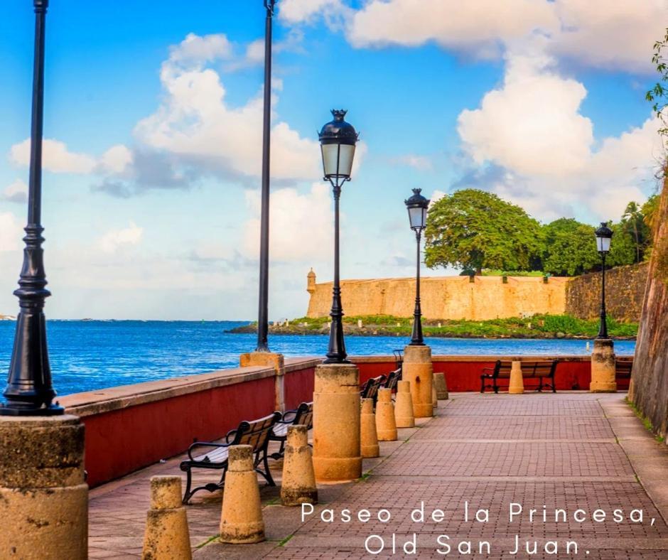 Bee Inn Puerto Rico Charming Urban Apartment In סן חואן מראה חיצוני תמונה